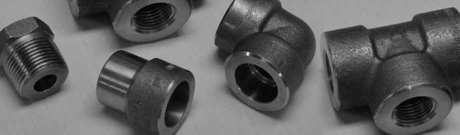 Stainless Duplex Forged Fitting