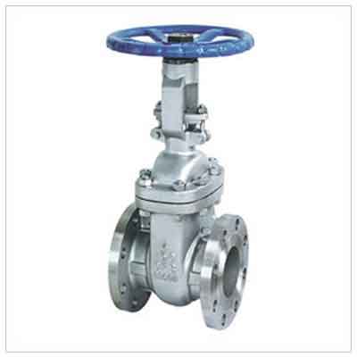 Stainless Steel Gate Valves