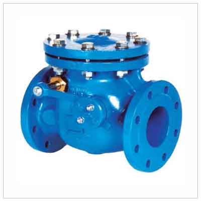 Stainless Steel Non Return Valves