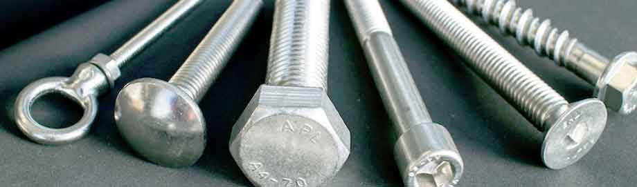 SS Fasteners