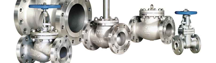 SS Valves